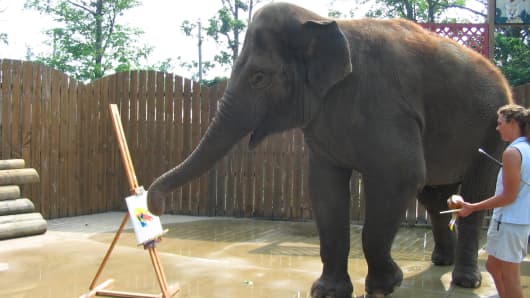 Surapa the elephant paints at the Buffalo Zoo.